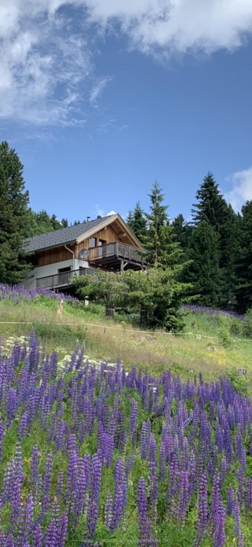 Turracher Hohe Chalet Claassen מראה חיצוני תמונה